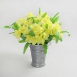 Pack of 6 Daffodil Bush Yellow