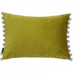 Fiesta Cushion Primrose (Yellow)