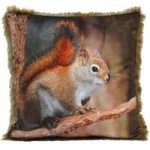 Squirrel Cushion NA