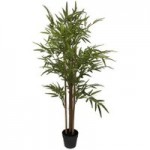 Bamboo Tree Green