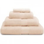 Dorma Silk Blend Apricot Towel Orange