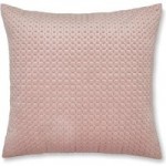 Pinsonic Blush Cushion Blush