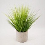 Potted Grass in Zig Zag Pot Green