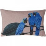 Blue Macaws Cushion Brown