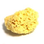 Hydrea Honeycomb Natural Sponge Yellow