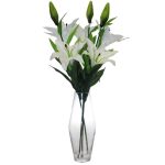 White Lillies in Glass Vase White