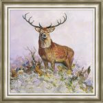 Dorma Majestic Stag Framed Print Brown / Grey