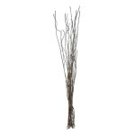 Natural Twig Bunch Natural Brown
