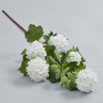 Cream Snowball Spray Flower Cream