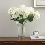 Cream Hydrangea Bush Cream