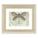 Dorma Dragonfly Framed Print Green / Brown