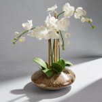 Dorma Large Orchid in Glass Bowl White
