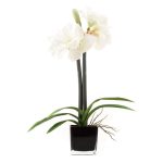 5A Fifth Avenue Amaryllis in Black Cube Vase Black