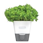 Cole & Mason Self Watering Herb Keeper White
