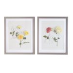 Set of Two Anna Newell Roses Framed Prints Multi Coloured