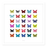 All a Flutter Framed Print Yellow/Grey/Red/Blue