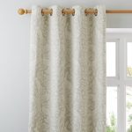 Didcote Sage Eyelet Curtains Sage