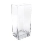 Clear Tank Vase Clear