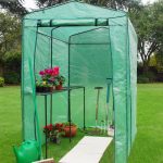 Giant Walk In Greenhouse Green