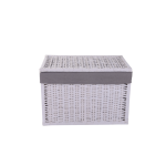 Small White Wicker Storage Trunk White