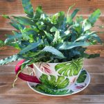 Green Botanical Teacup Plant Pot Green