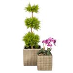 Set of 2 Genoa Square Planters Grey