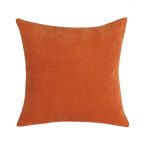 Velour Terracotta Cushion Terracotta