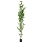 Premium 180cm Bamboo Plant Green