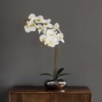 Real Touch 60cm Cream Orchid in Silver Pot Cream