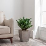 Green Succulent Plant in Wood Planter Green