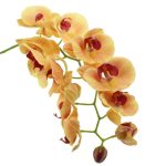 Pack of 3 Peach Real Touch 97cm Orchid Spray Peach
