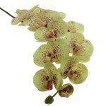 Pack of 3 Spot Real Touch 104cm Orchid Spray Cream