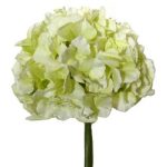 Pack of 3 Green Hydrangea 48cm Stem Green