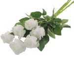 Pack of 6 Ivory Rose 66cm Bundle Ivory