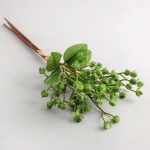 Green Hypericum Bundle Green