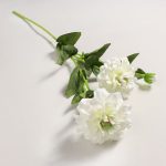 White Dahlia Spray White