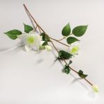 Cream Clematis Spray Cream