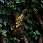 Solar Gecko Light Bronze