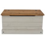 Corona Grey Storage Trunk Grey