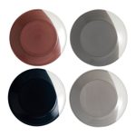 Set of 4 Royal Doulton Bowls of Plenty 23cm Plates Multi coloured