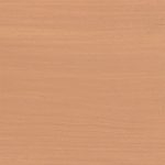 Protek Biscuit Wood Stain and Protector Natural