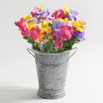Pack of 6 Pansy Bundle Grey