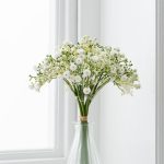Pack of 6 Gypsophila Bundle Cream