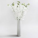 Pack of 12 White Phalaenopsis Orchids White