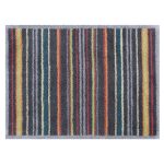Graphic Stripe MultiColoured Door Mat MultiColoured