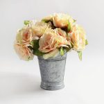 Pack of 12 Antique Roses Cream