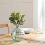 Pack of 12 Green Fittonia Green
