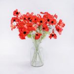 Pack of 24 Orange Poppy Orange