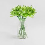 Pack of 12 Succulent Green