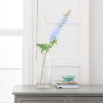 Pack of 12 Delphinium Blue/Purple